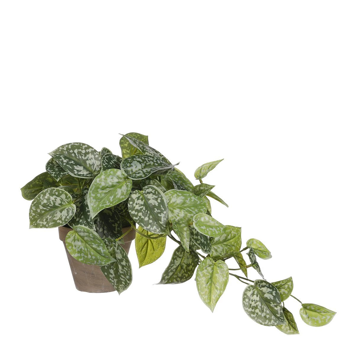 Artificial hanging plant Scindapsus Green by Mica Decorations