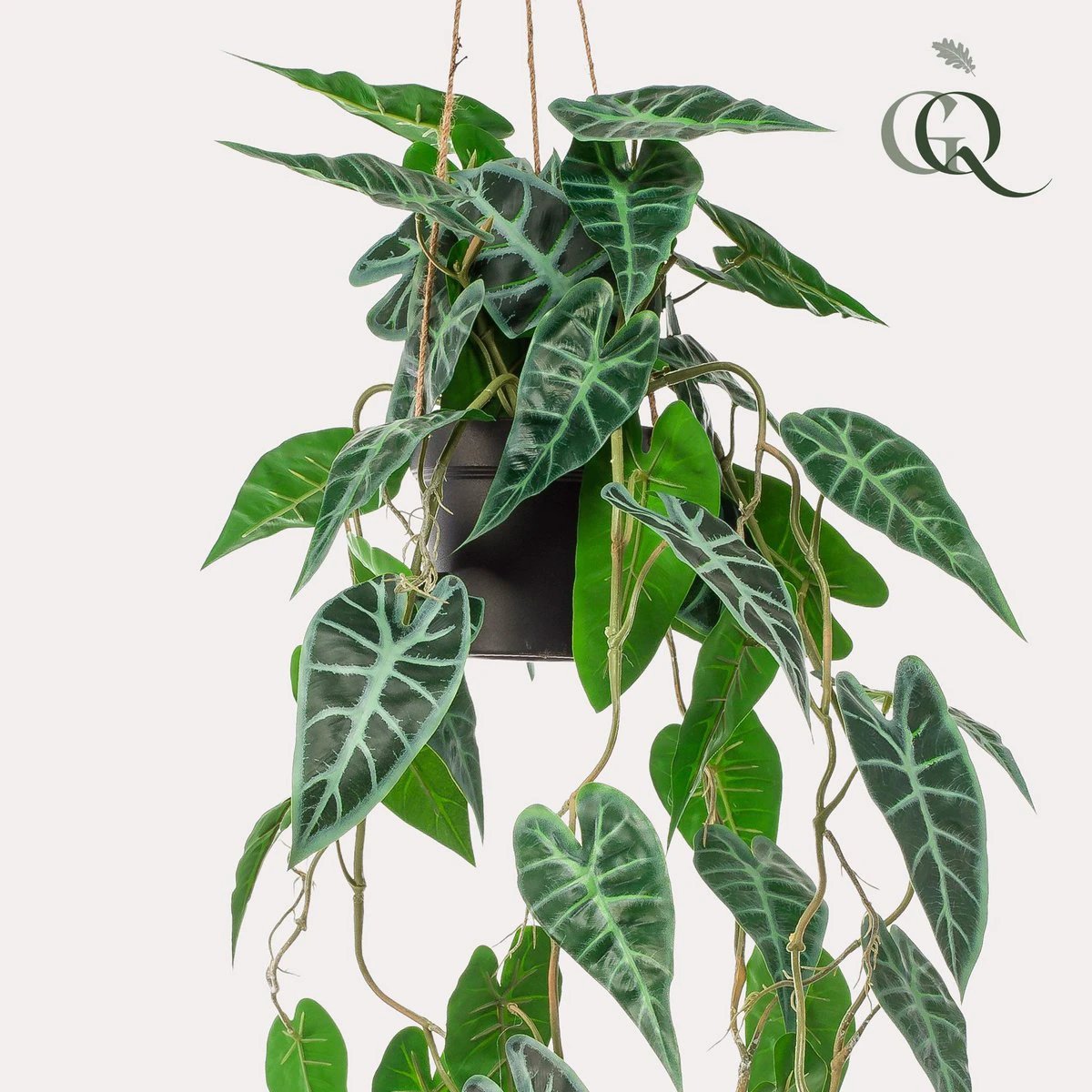Kunstpflanze – Alocasia – Elefantenohr – 80 cm von Green boutiQ