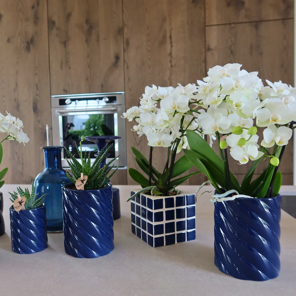 Kolibri Home | Candy sierpot | Hoog - Blue - Ø6cm by Kolibri Company