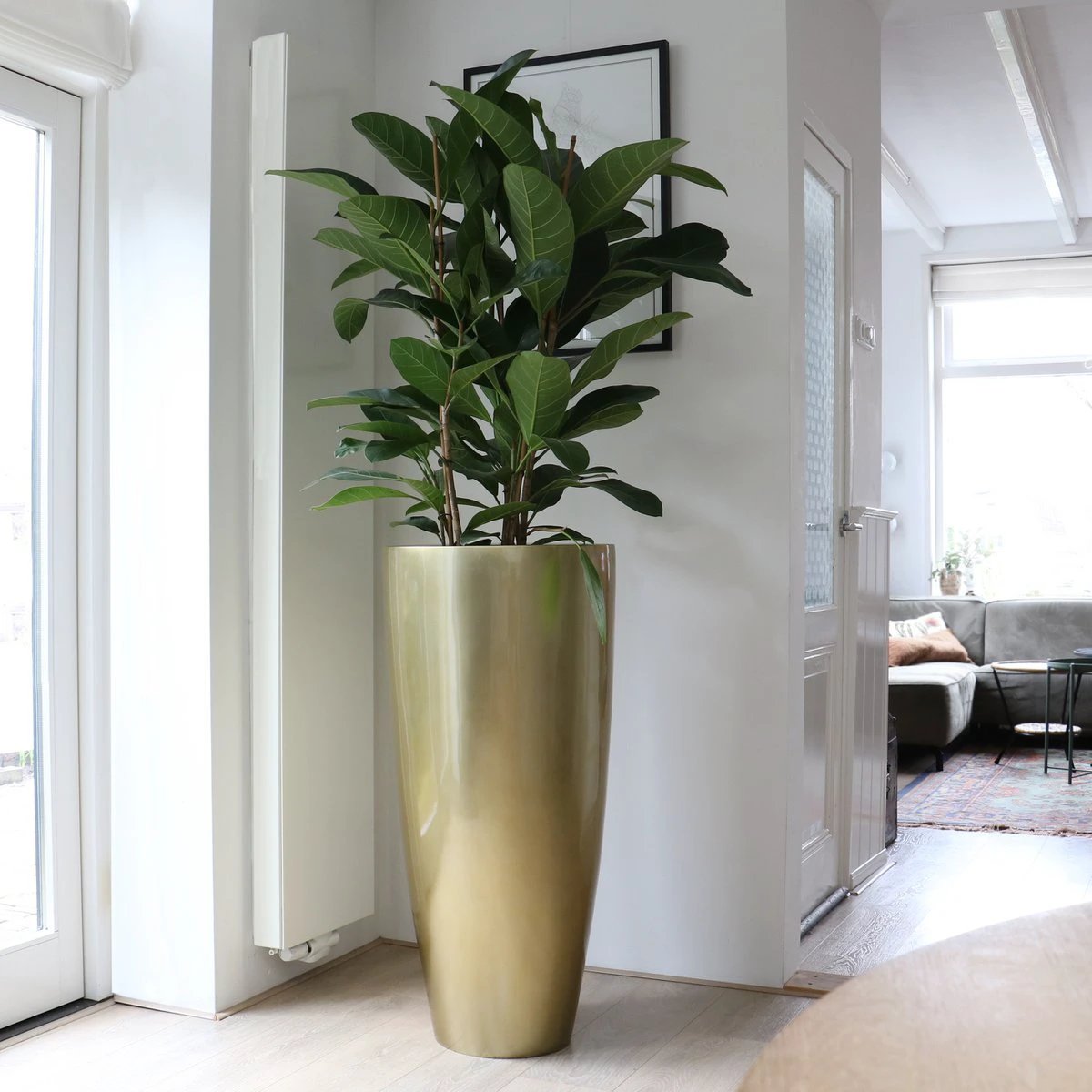 Plantenpot - Kentucky Gold by Vase The World