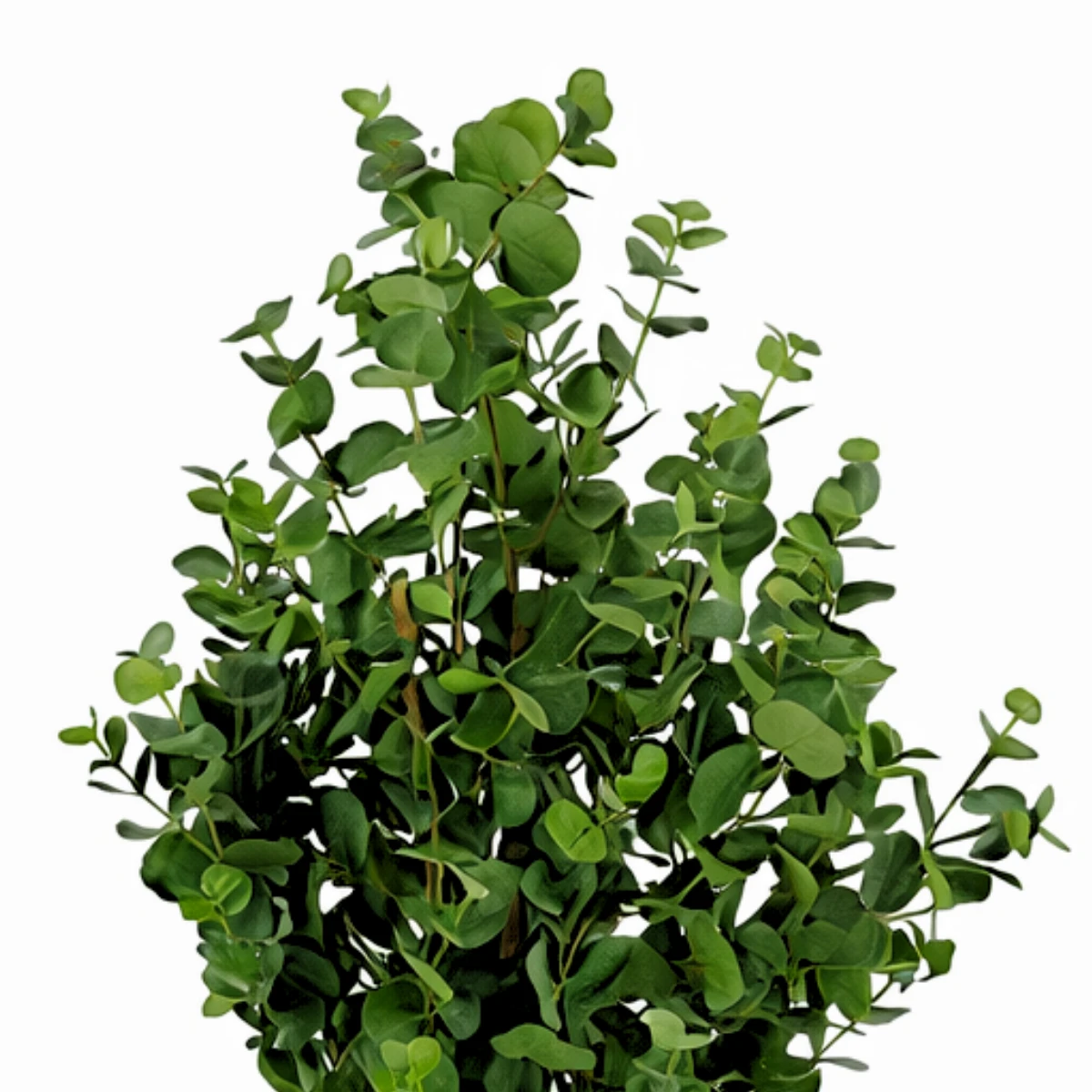 Artificial plant Eucalyptus tree Green by Mica Decorations