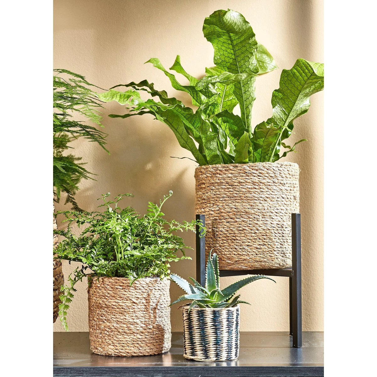 Plant stand Ascot Black by Mica Decorations