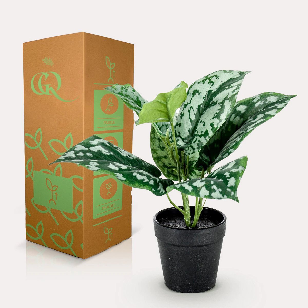 Artificial plant - Scindapsus Pictus - Lucky plant - 30 cm by Green boutiQ