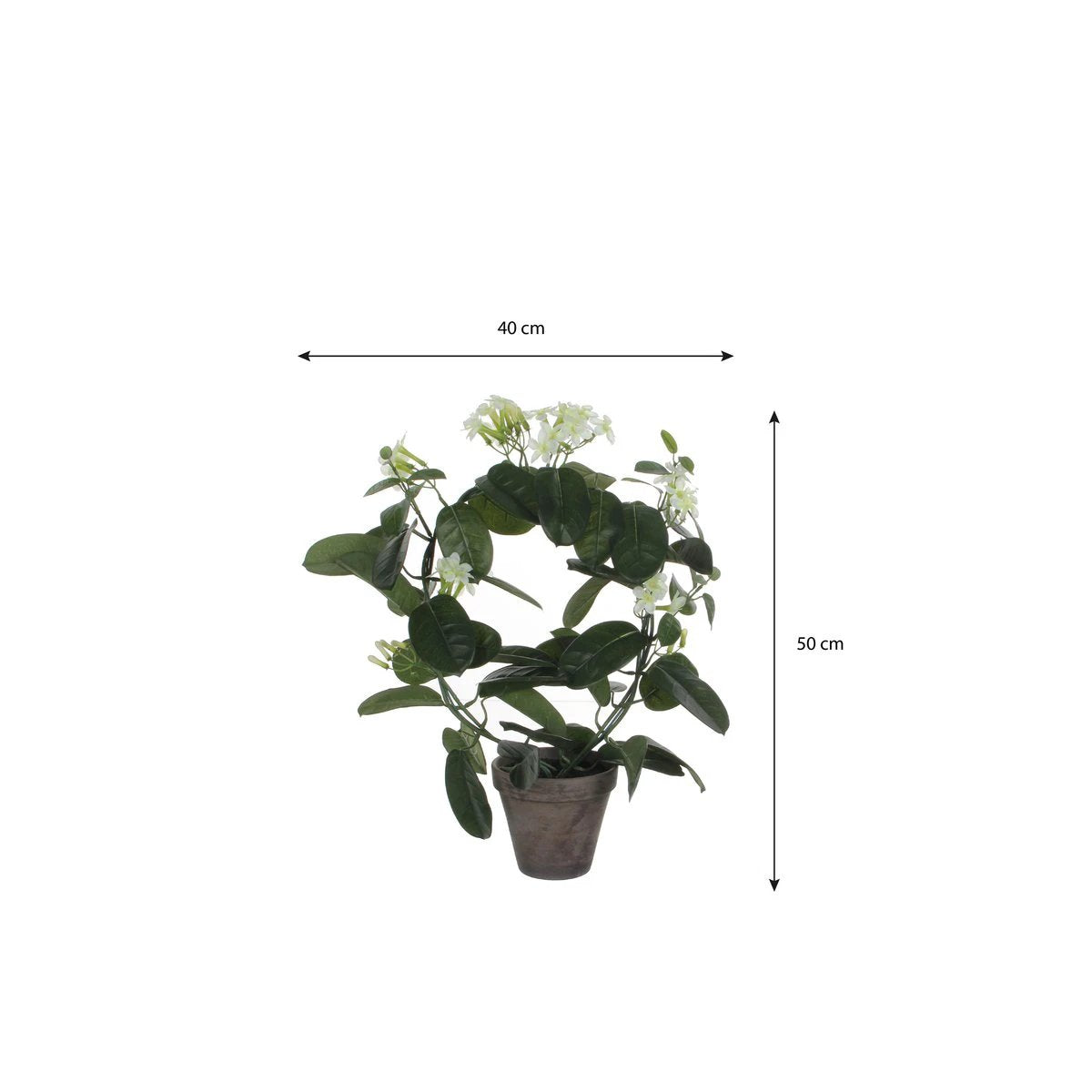 Kunstplant Stephanotis Wit by Mica Decorations