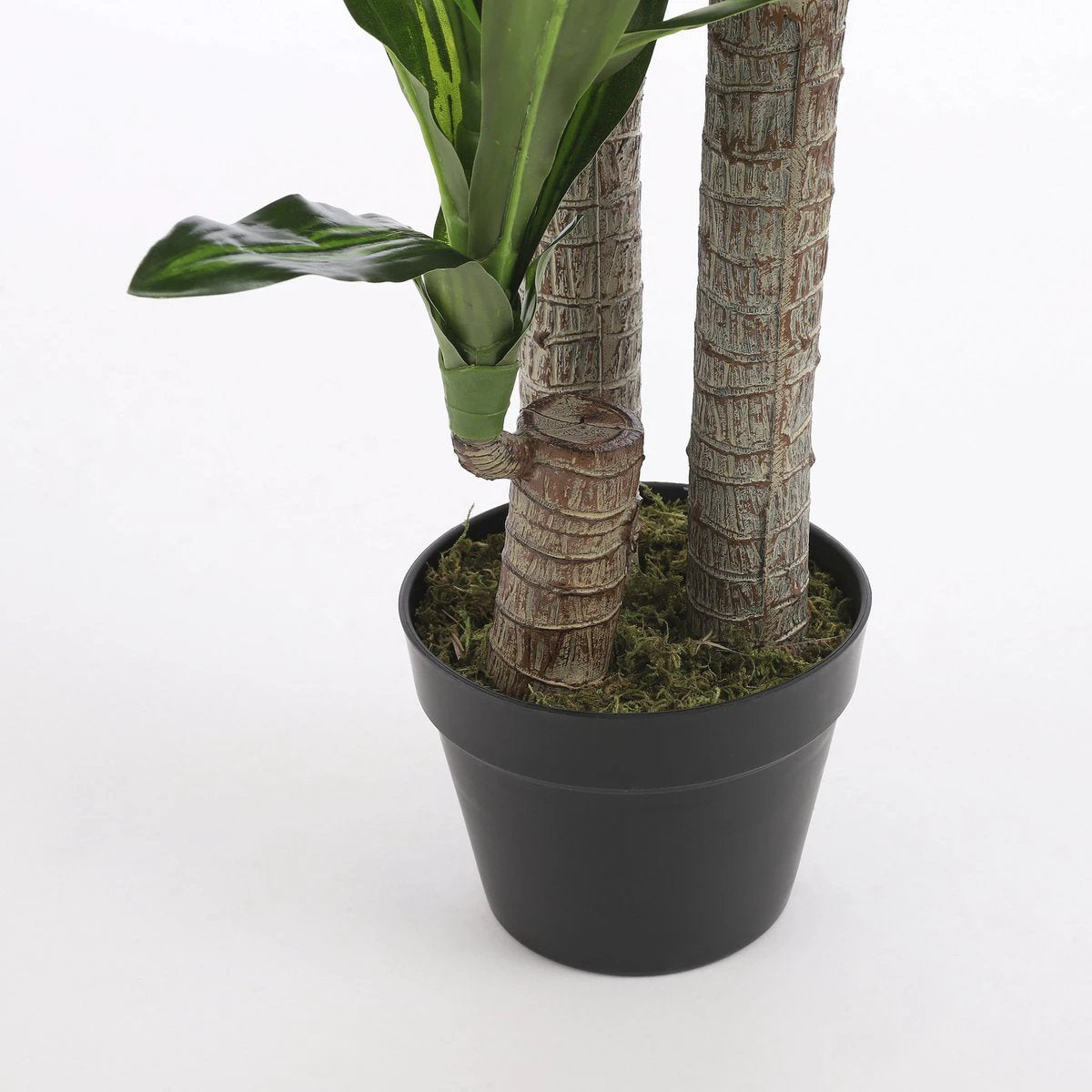 Artificial plant Dracaena Green by Mica Decorations