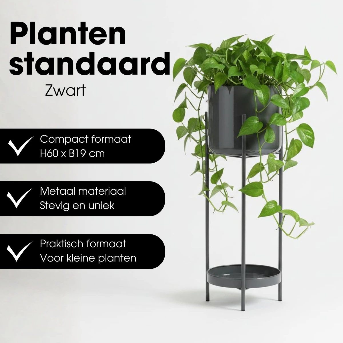 Flowerpot inside Colyn Black by Mica Decorations