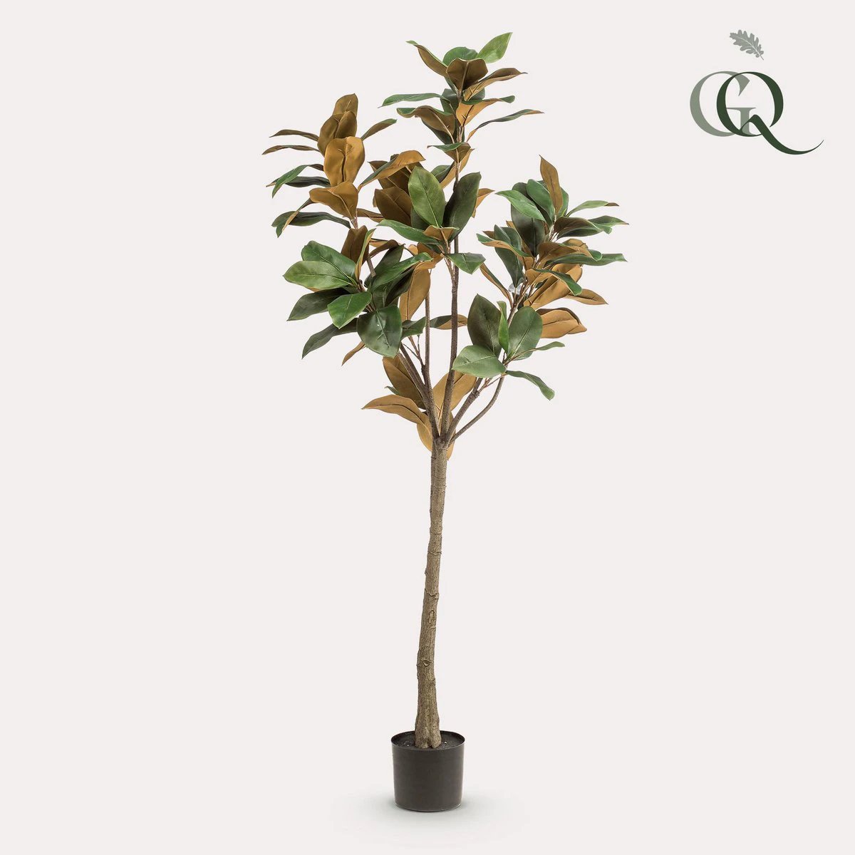 Artificial plant - Magnolia Grandiflora - 150 cm by Green boutiQ