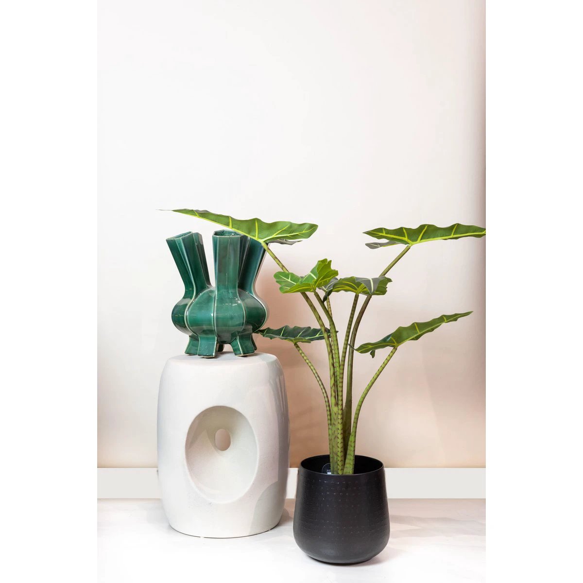 Art plant - Alocasia Frydek - Elephants ear - 80 cm by Green boutiQ