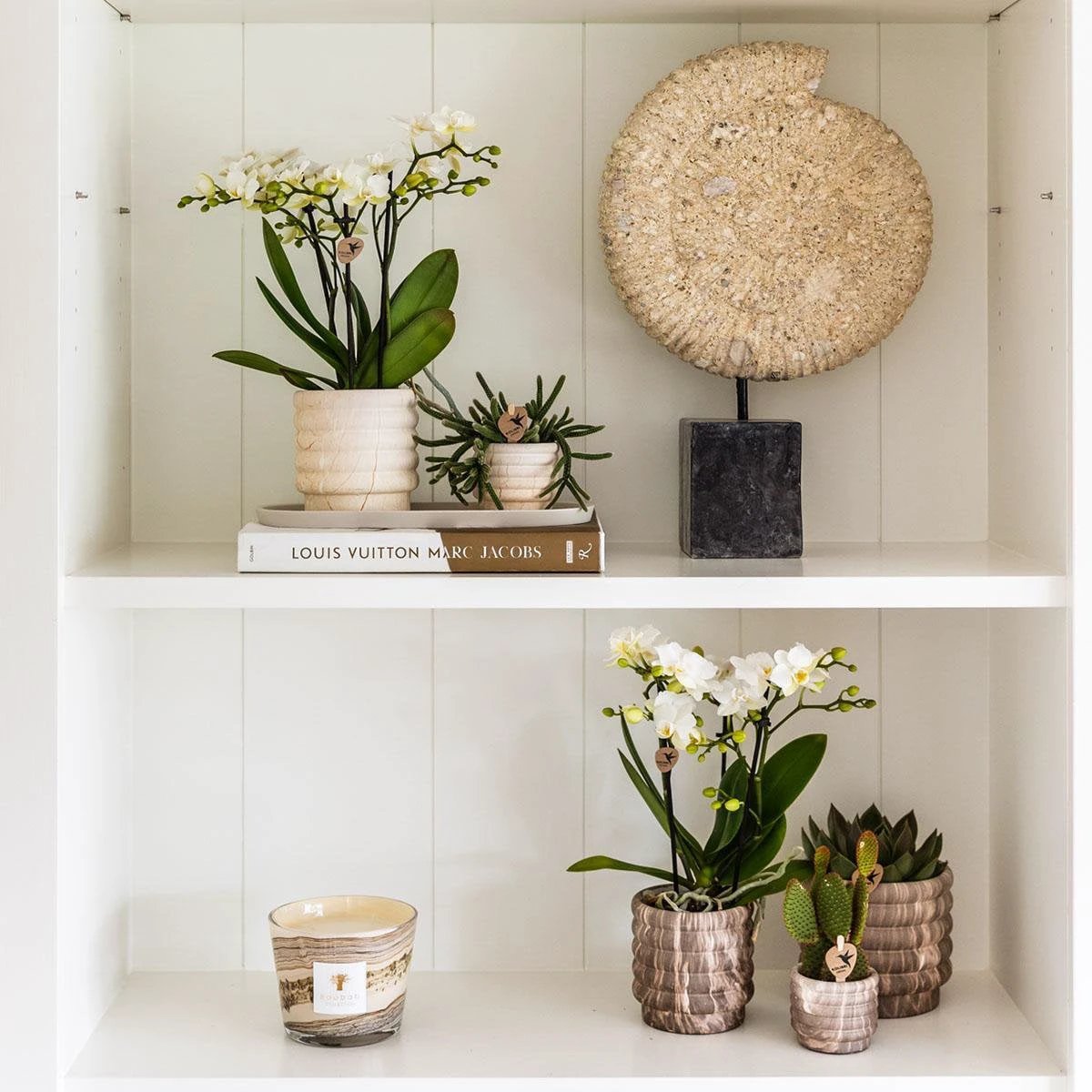 Kolibri Home | Combi deal - Marble Light potten by Kolibri Company