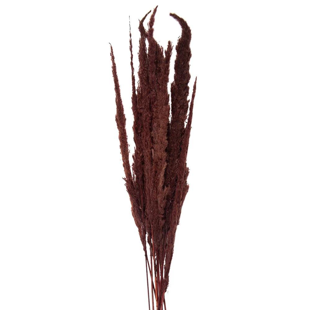 Droogbloemen 100 cm (10) by Clayre & Eef.