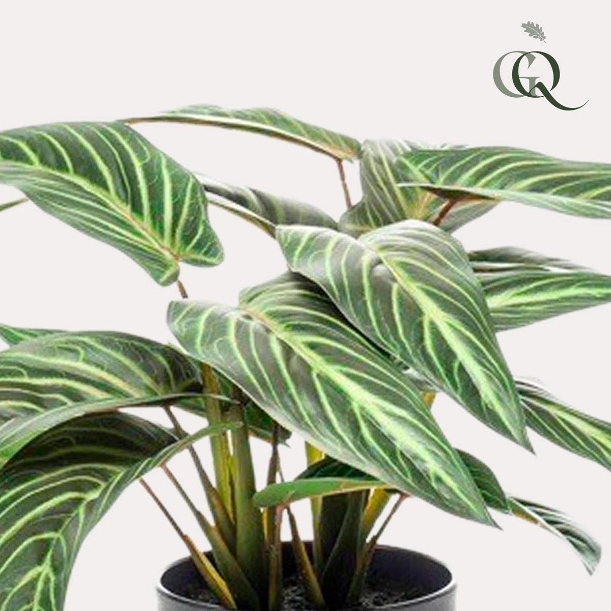 Kunstpflanze – Calathea Zebrina – Schattenpflanze – 38 cm von Green boutiQ