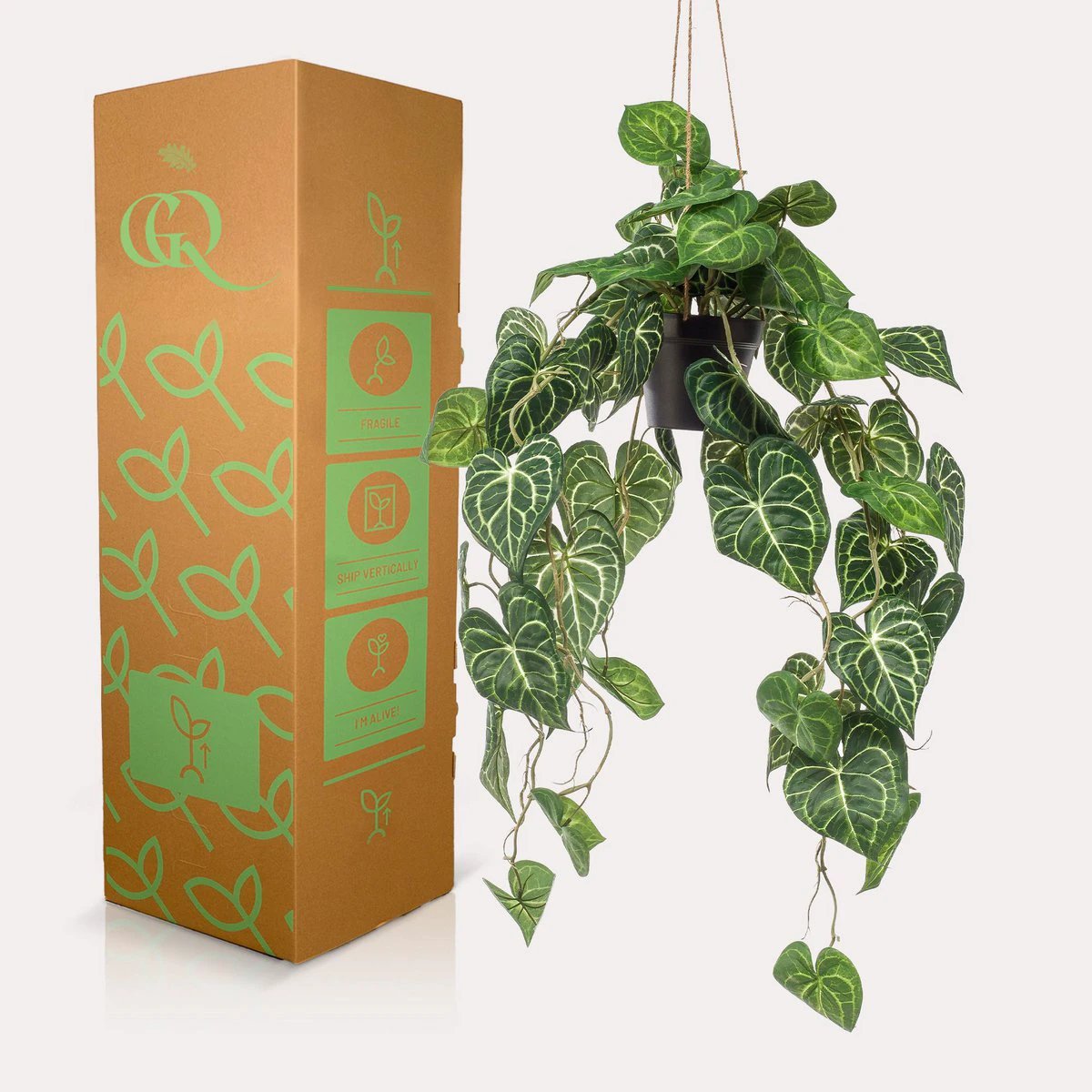 Kunstplant - Anthurium Clarinervium - Aderplant - 80 cm by Green boutiQ
