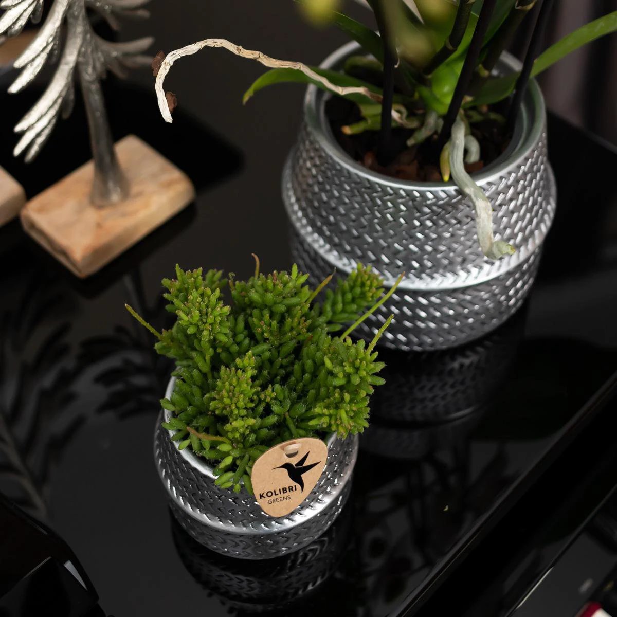 Kolibri Home | Groove Flowerpot - Silver Ceramic Sierpot - Ø6cm by Kolibri Company