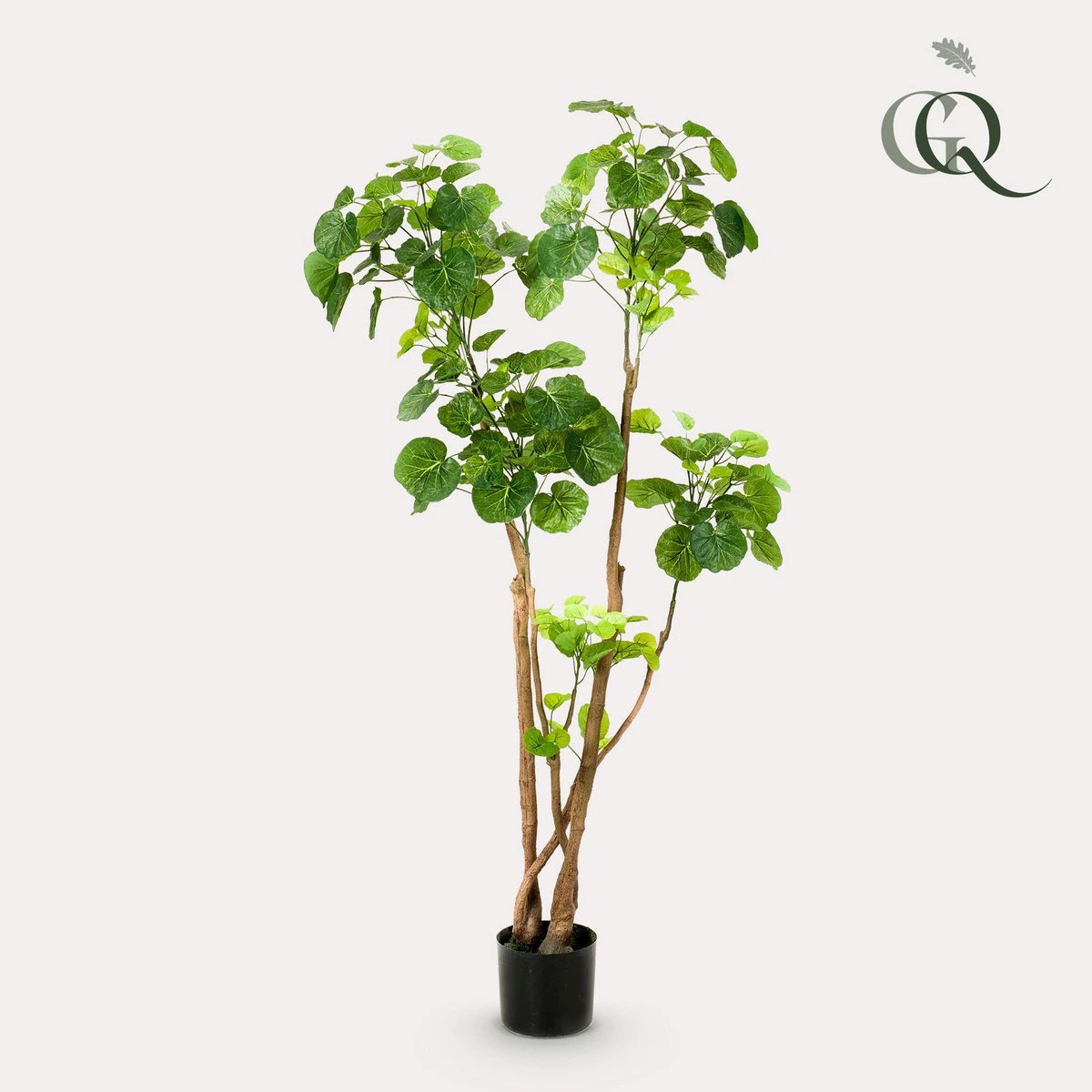 Kunstplant - Polyscias - Aralia - 135 cm by Green boutiQ