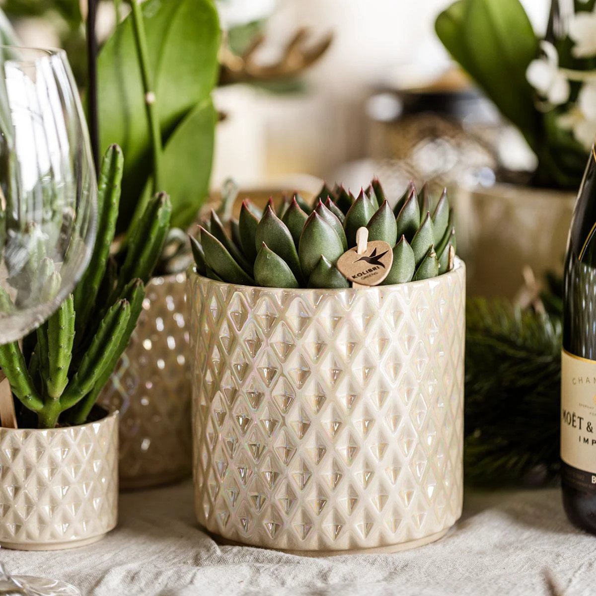 Kolibri Home | Diamond pearl sierpot - Travertine - Ø9cm by Kolibri Company