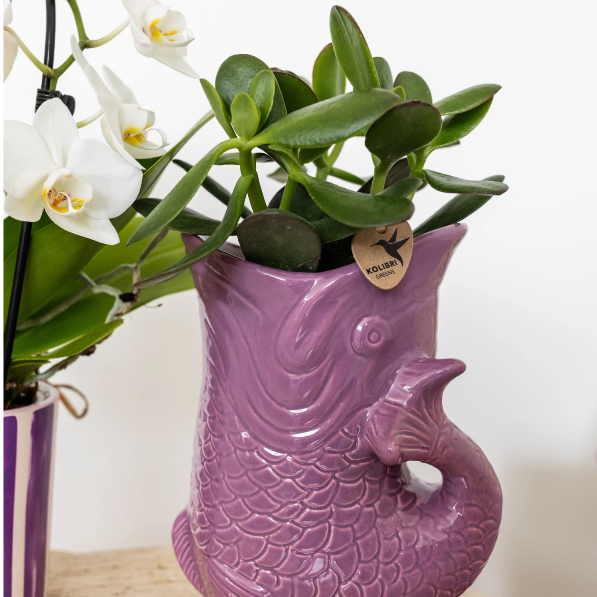 Hummingbird Home | Fish - Lilac - Ø9cm by Kolibri Company