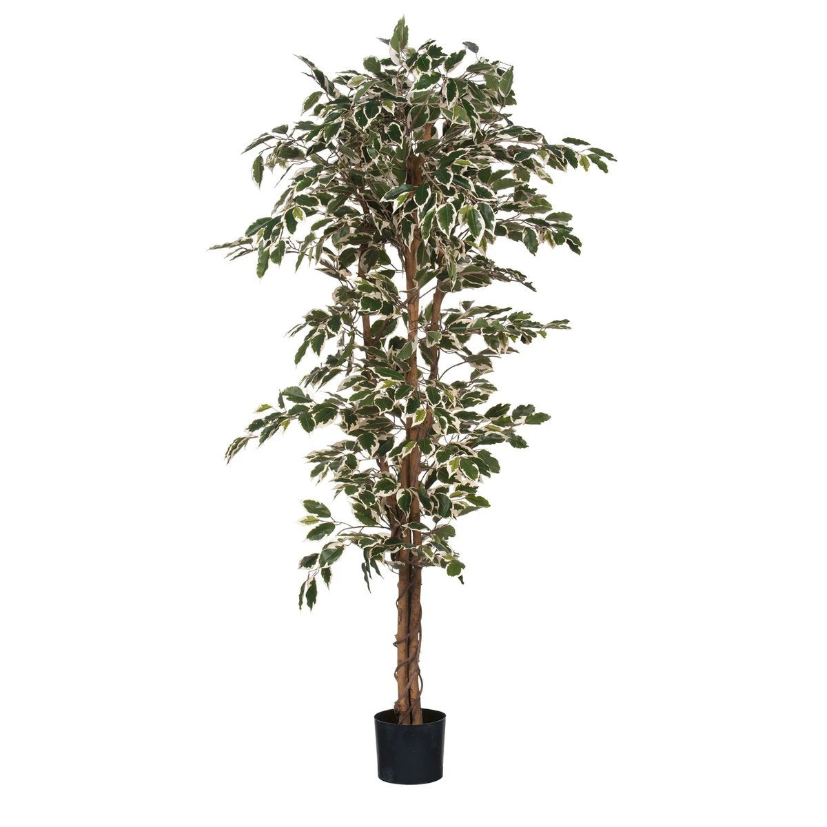 Artificial plant Ficus Green by Mica Decorations