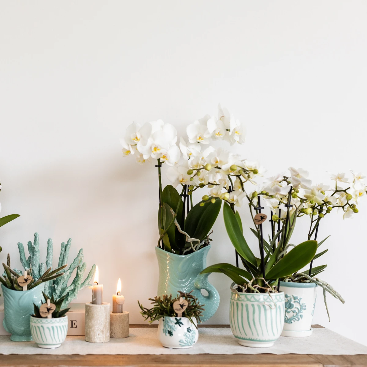 Kolibri Home | Coral - Blue - Ø6cm by Kolibri Company