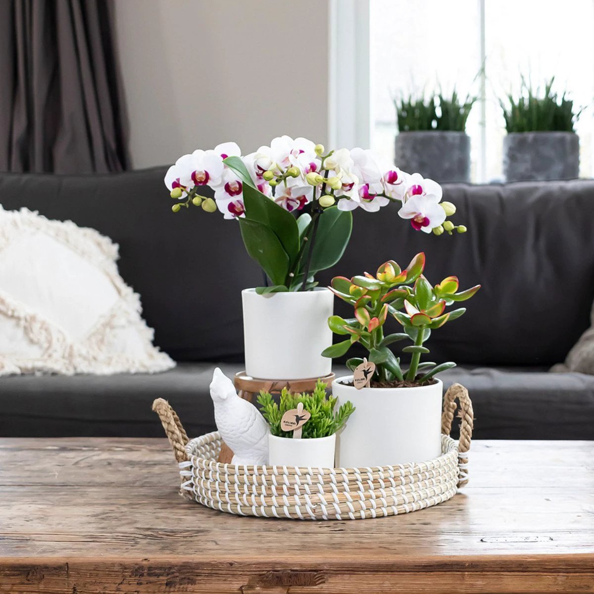 Hummingbird Home | Decorative bowl - White woven tray Ø30cm by Kolibri Company