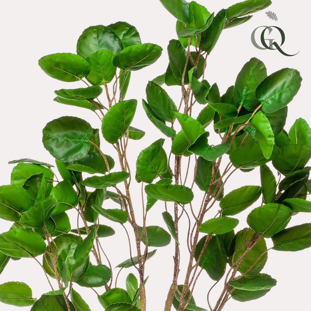 Kunstplant - Polyscias - Aralia - 150 cm by Green boutiQ