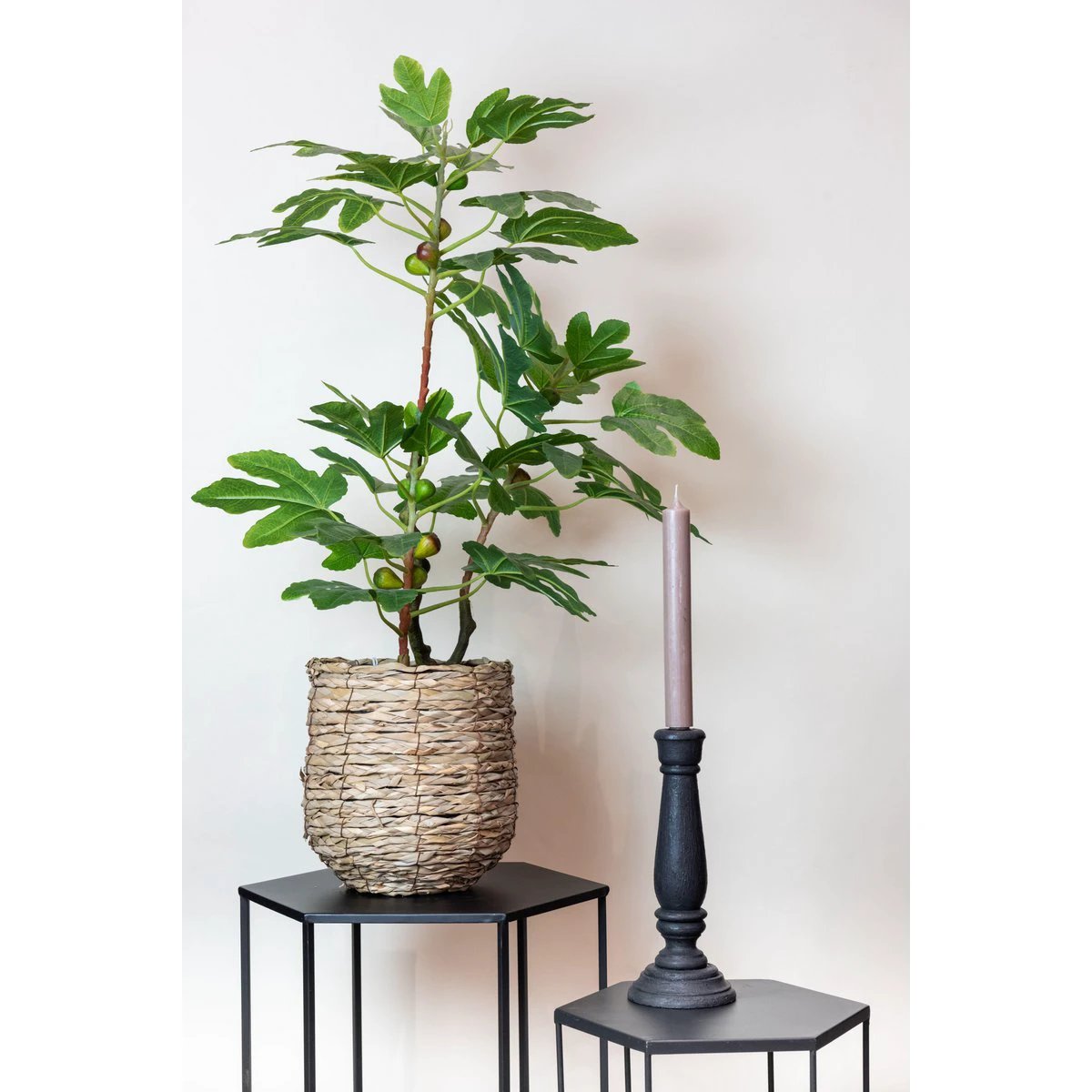 Art plant - Ficus Carica - Figen Tree - 95 cm by Green boutiQ