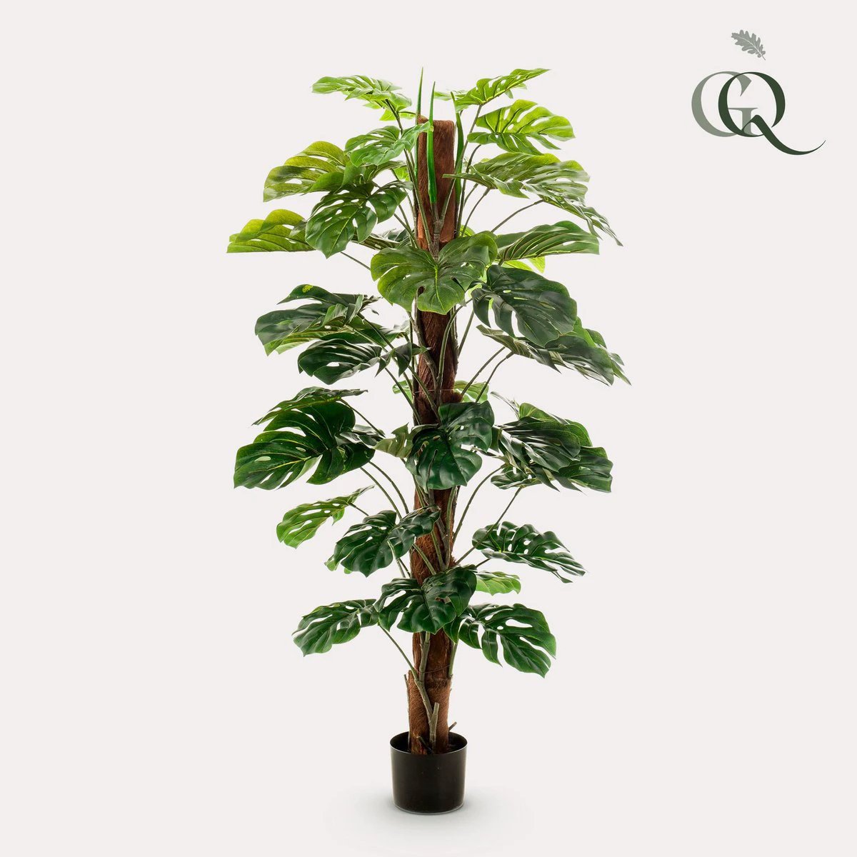 Monstera Deliciosa – Kunstpflanze – 150 cm von Green boutiQ