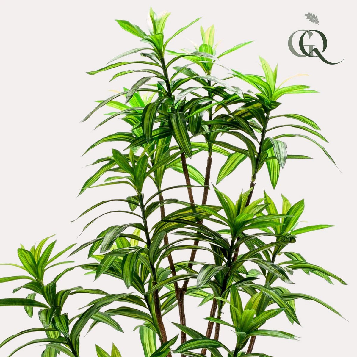 Art plant - Dracaena - Dragon tree - 130 cm by Green boutiQ