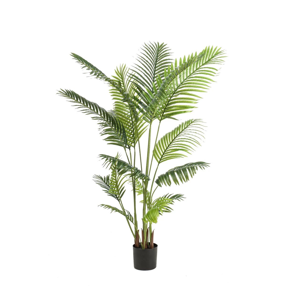 Kunstpflanze – Howea Forsteriana – 160 cm von Green boutiQ