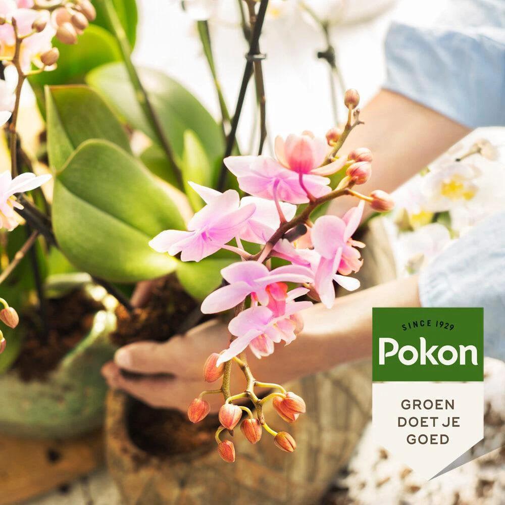 Pokon Powerspray orchidee 300 ml by Kolibri Company