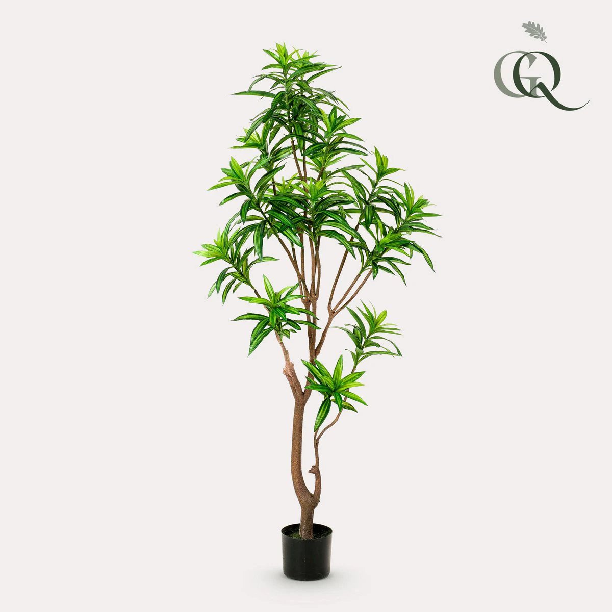 Artificial plant - Dracaena - Dragon tree - 155 cm by Green boutiQ