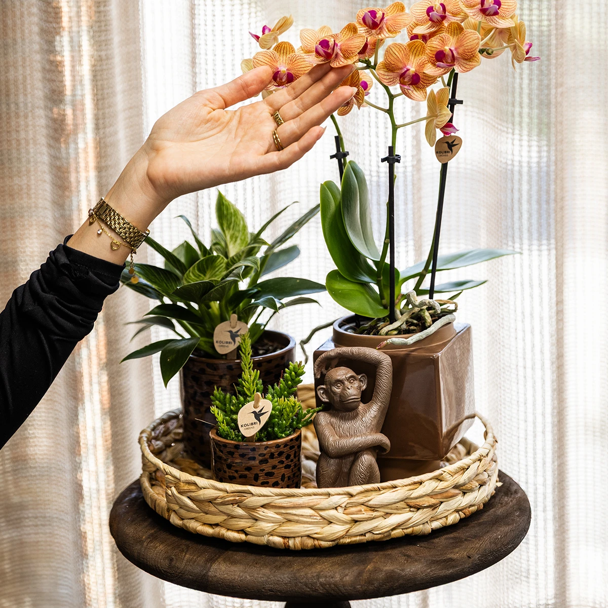 Kolibri Home | Leopard Sierpot - Ø9cm by Kolibri Company