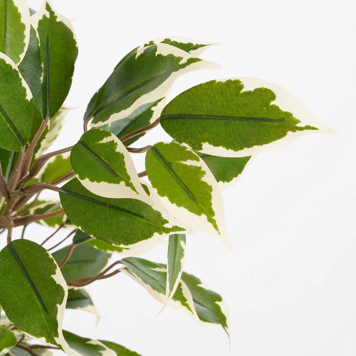 Artificial plant Ficus natasja Green by Mica Decorations