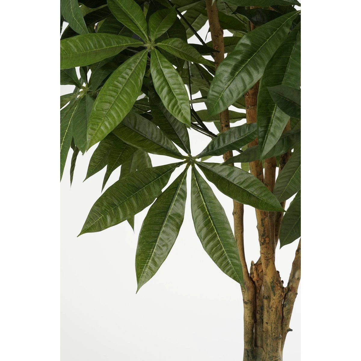 Artificial plant Pachira Green by Mica Decorations