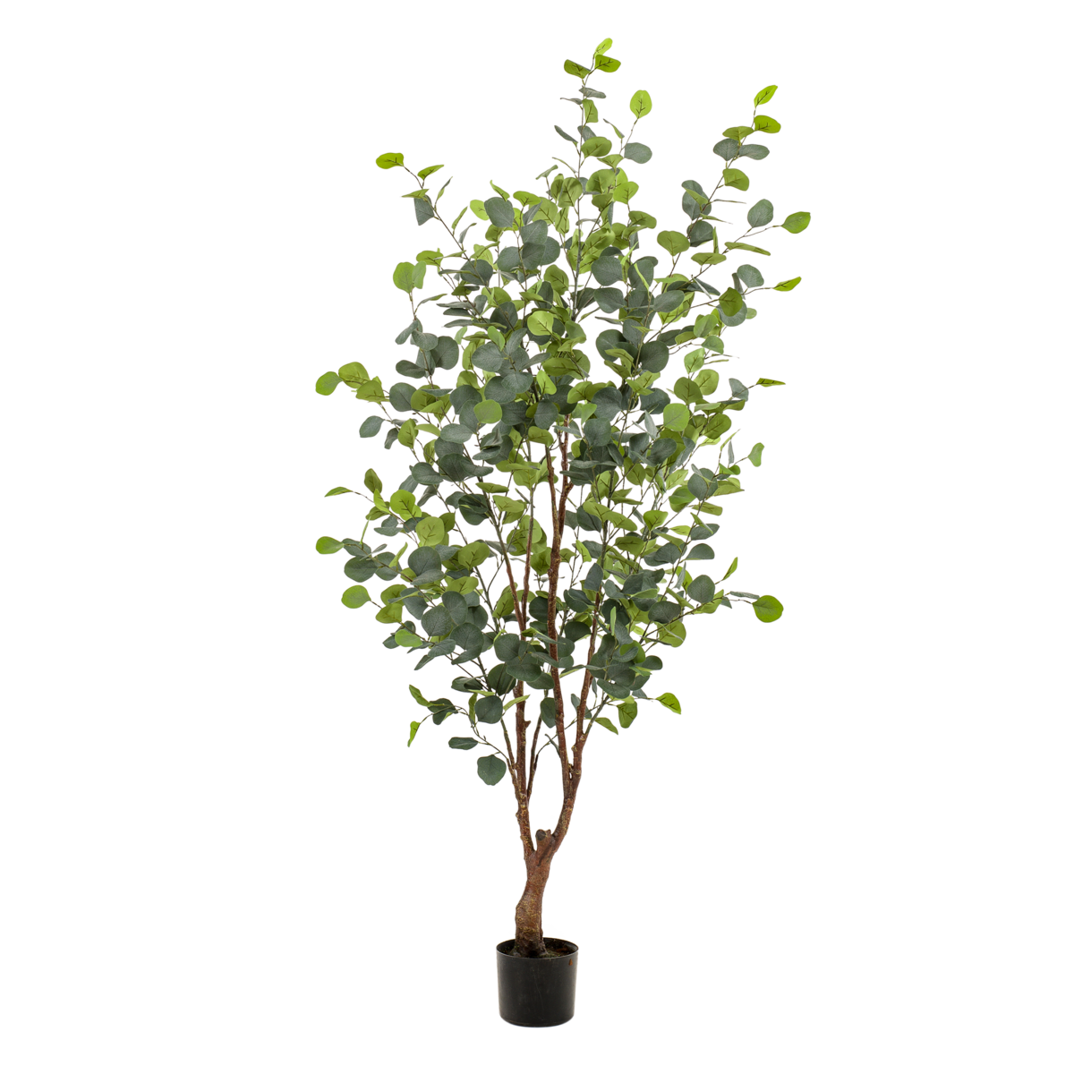 Artificial plant - Eucalyptus - Blue Gum tree - 140 cm by Green boutiQ