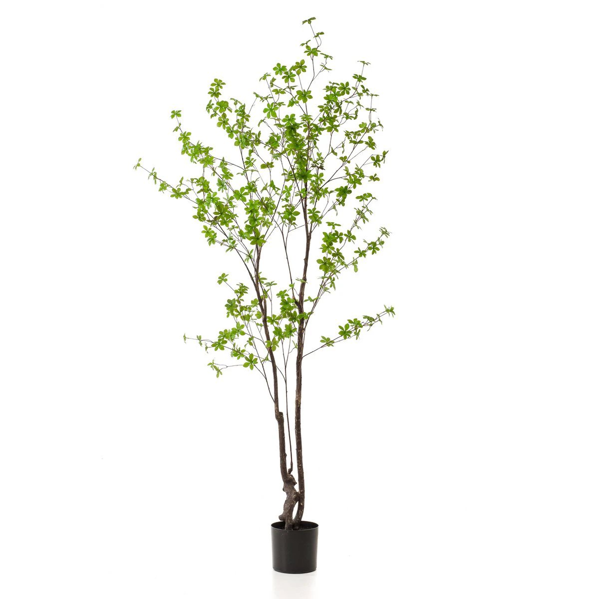 Kunstpflanze – Tropseolum – Oost Indistent – 210 cm von Green boutiQ