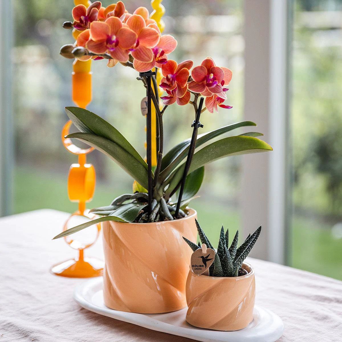 Hummingbird Home | Candy decorative pot - Peach - Ø9cm by Kolibri Company