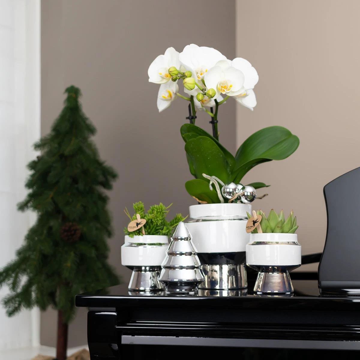 Hummingbird Home | Le Chic flower pot - White ceramic decorative pot with silver details - Ø9cm by Kolibri Company