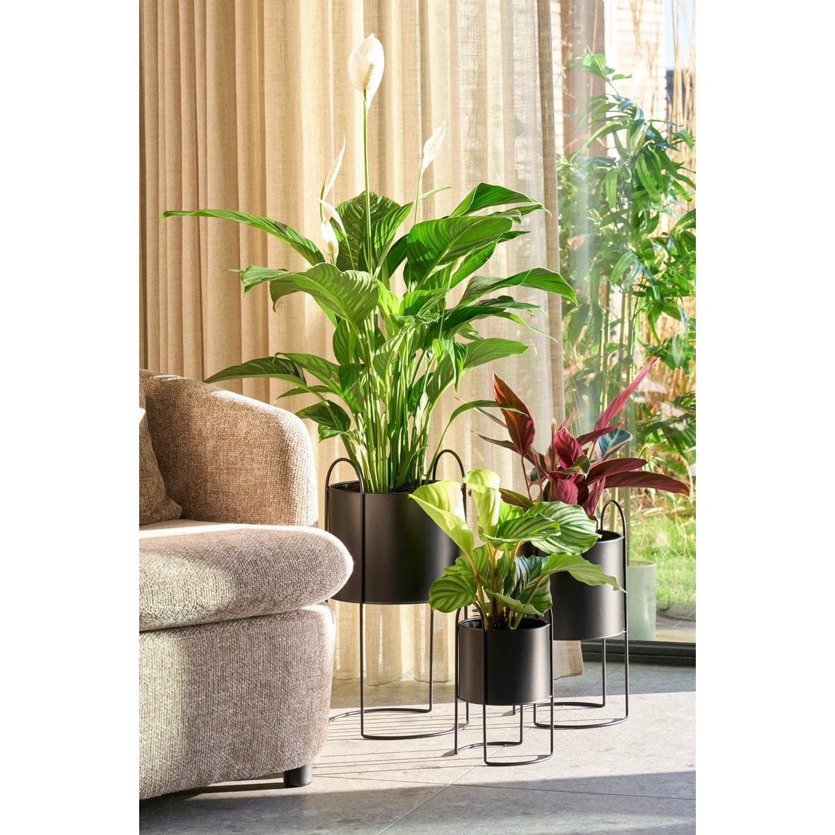 Flowerpot inside Petry Black by Mica Decorations