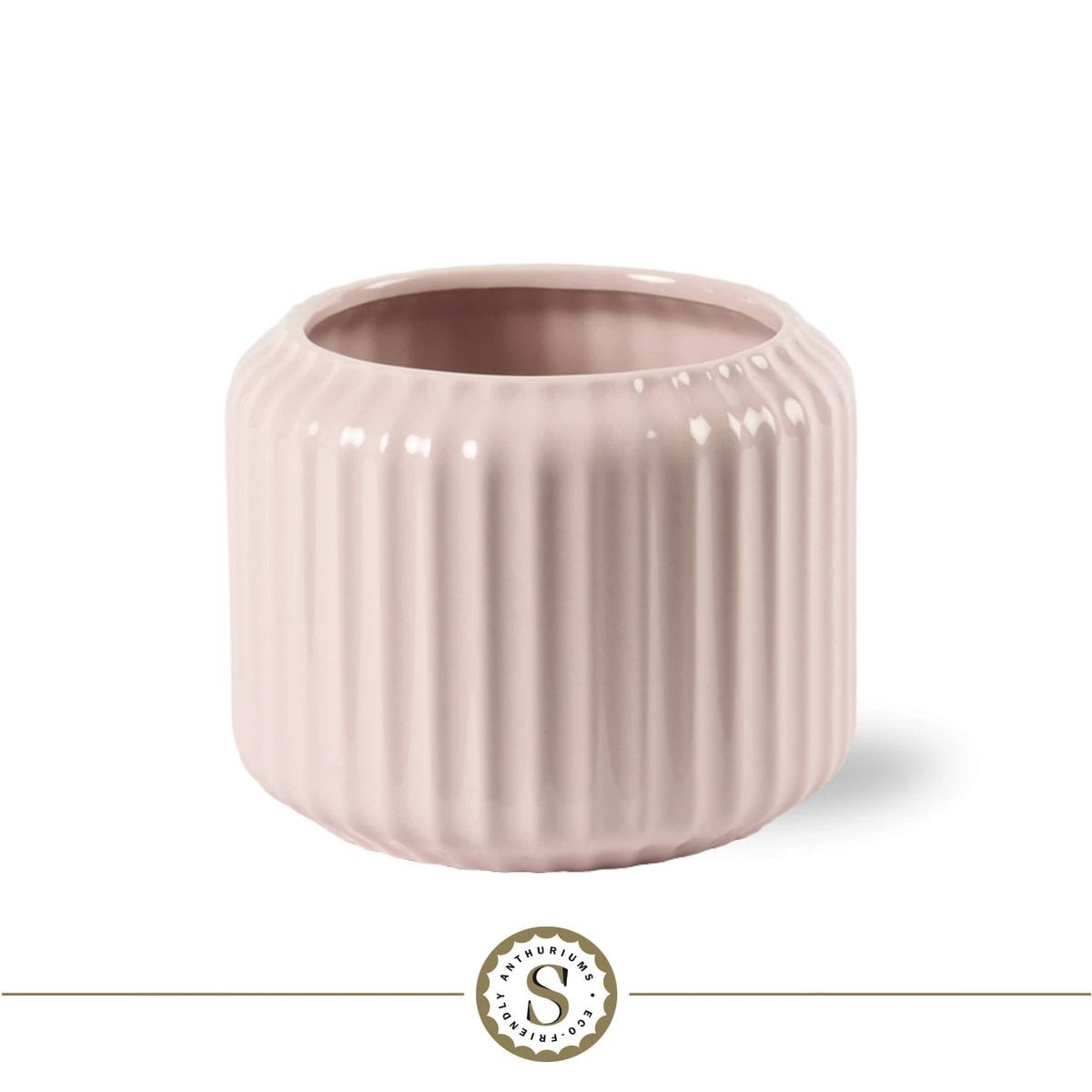 BOLOGNA PASTEL PINK ZIZOU by Blooming Luxury