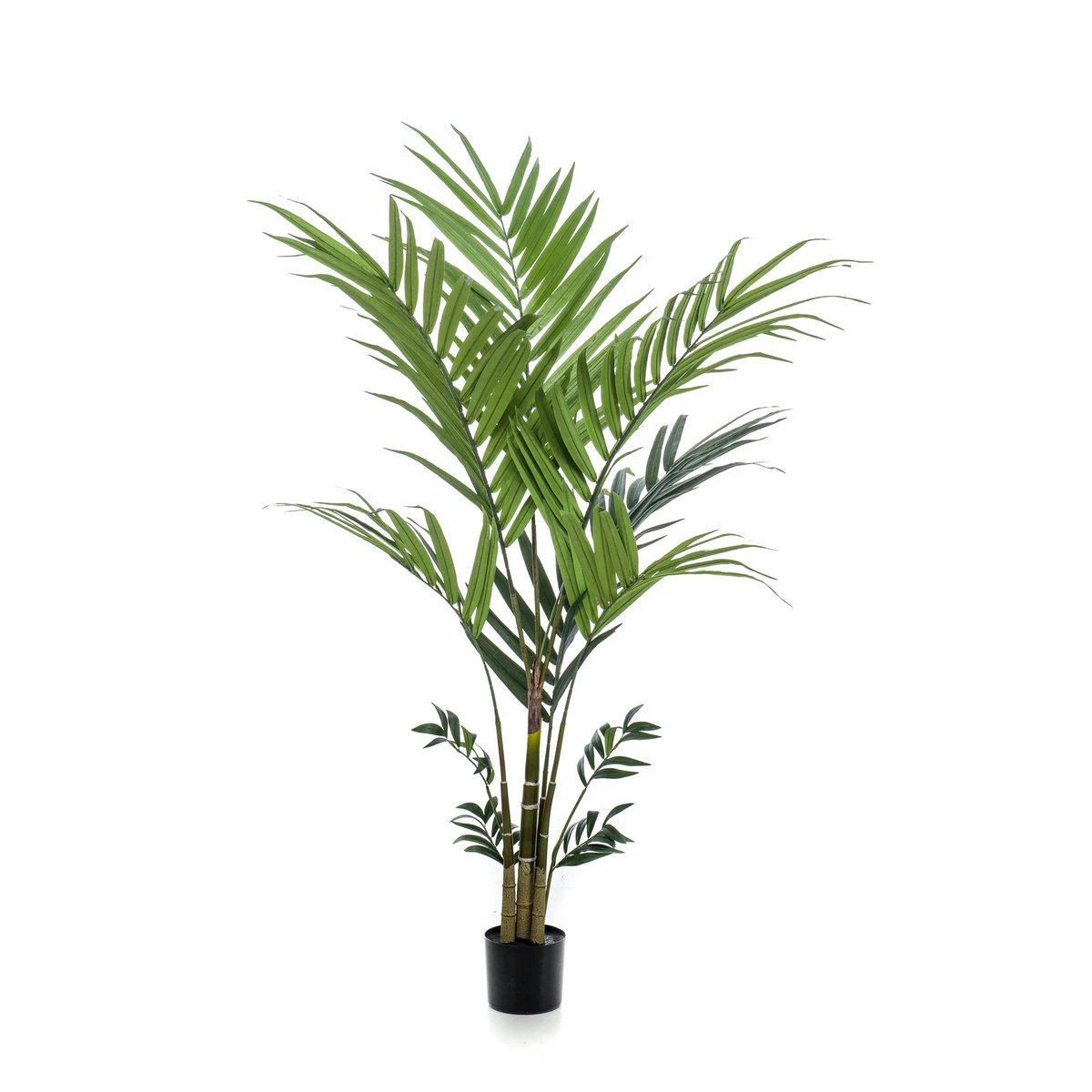 Art plant - Kentia -Kentiapalm - 180 cm by Green boutiQ
