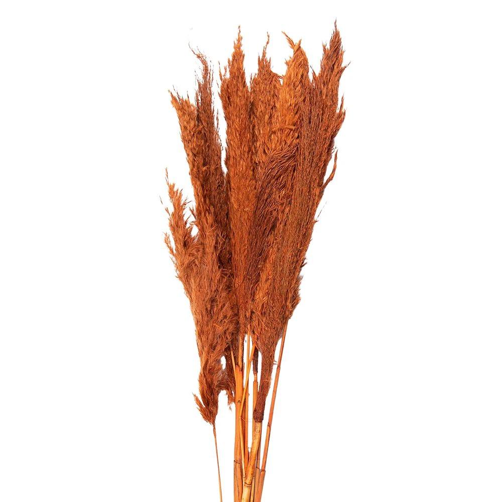 Getrocknete Blumen Bambus 90 cm (10) von Clayre & Eef.