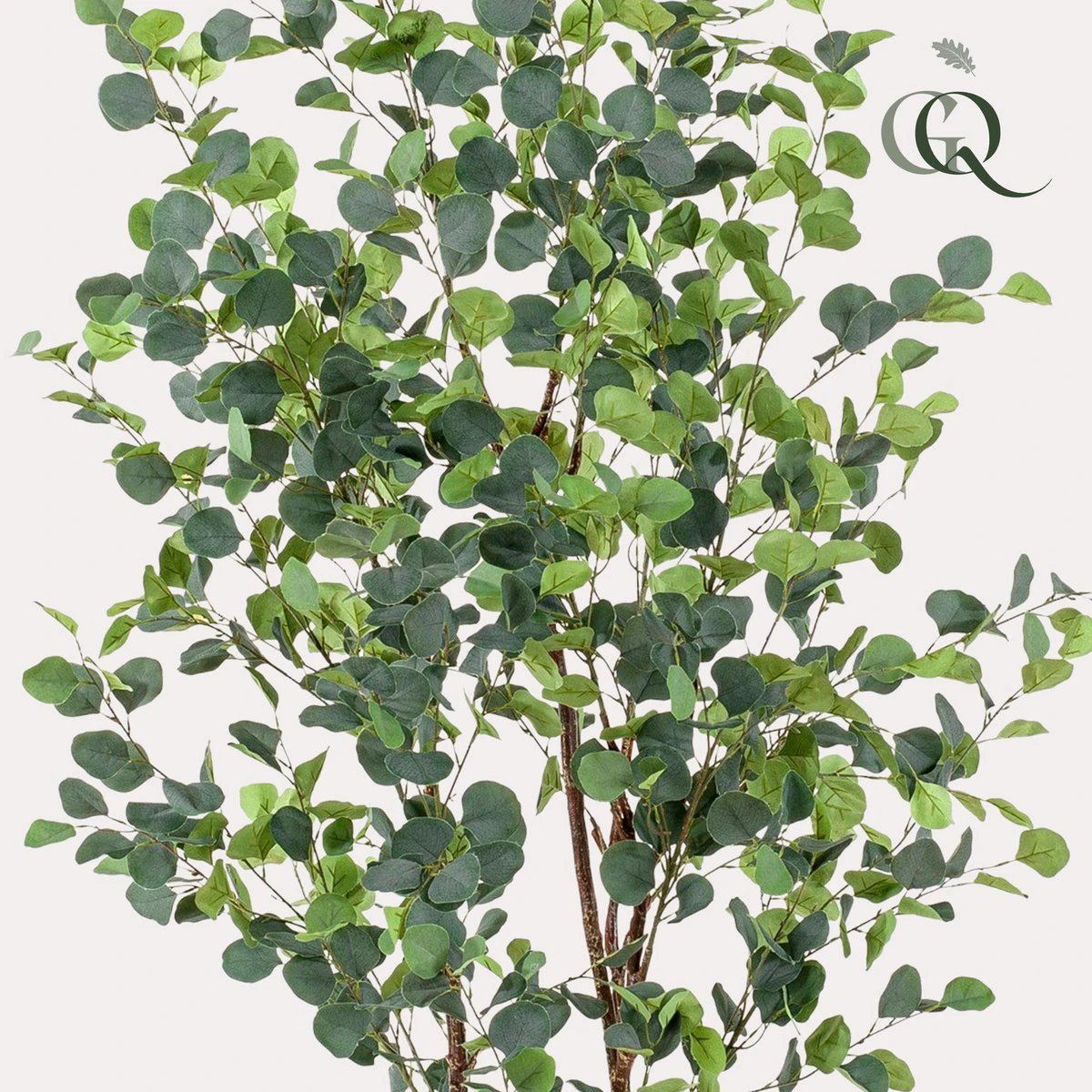 Artificial plant - Eucalyptus - Blue Gum Tree - 180 cm by Green boutiQ