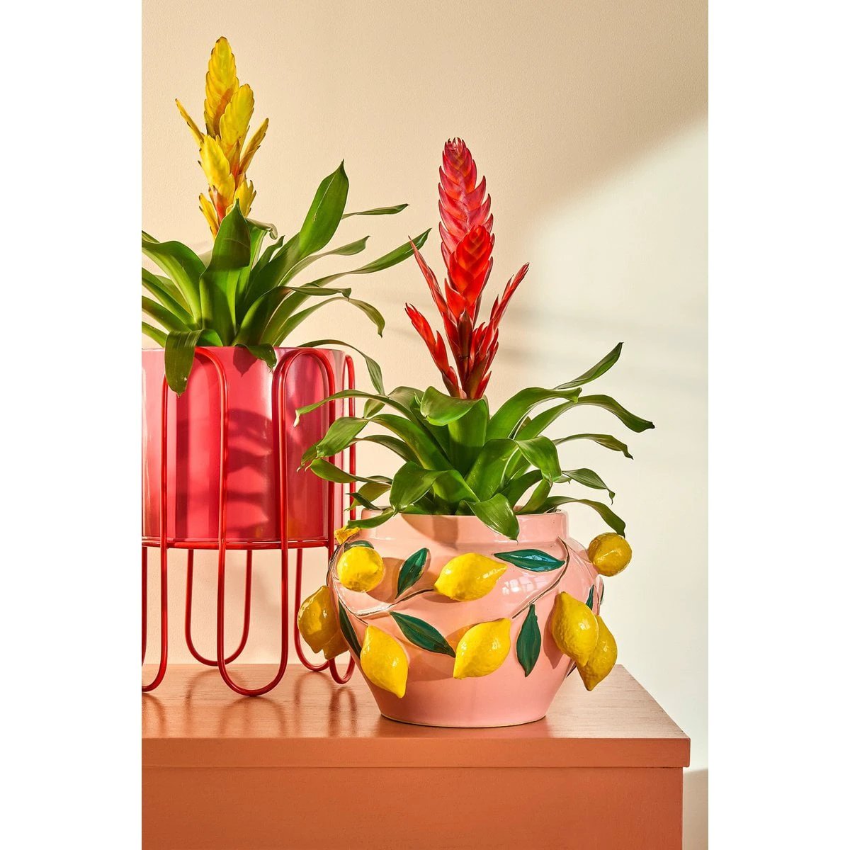 Flowerpot inside Dione Pink by Mica Decorations