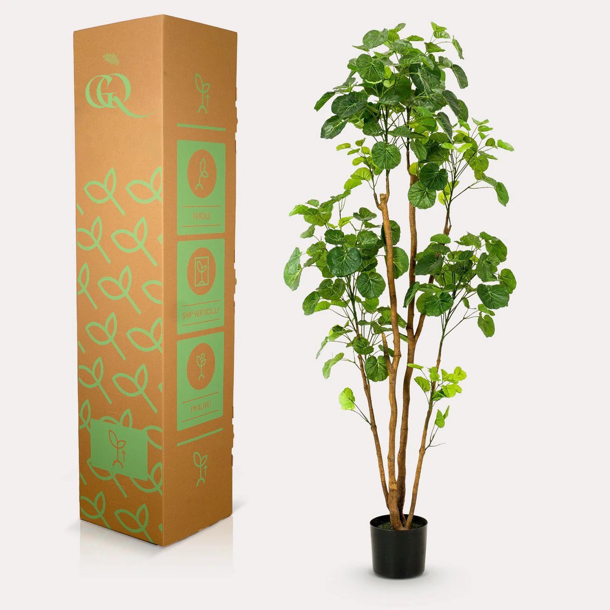 Kunstplant - Polyscias - Aralia - 160 cm by Green boutiQ