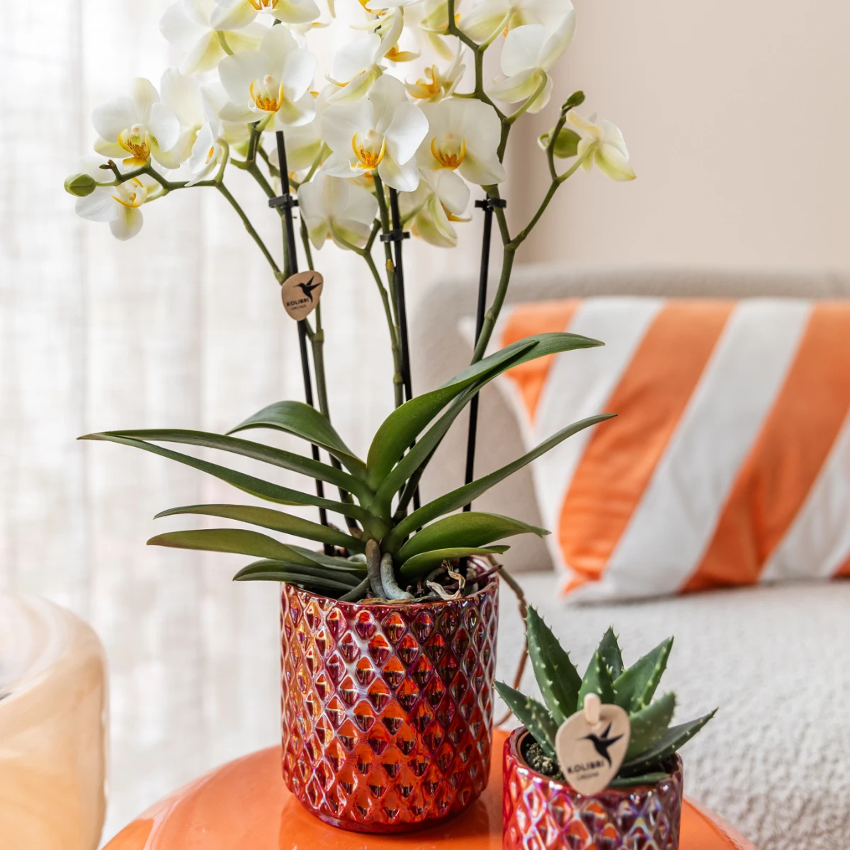 Kolibri Home | Diamond pearl sierpot - Red - Ø9cm by Kolibri Company