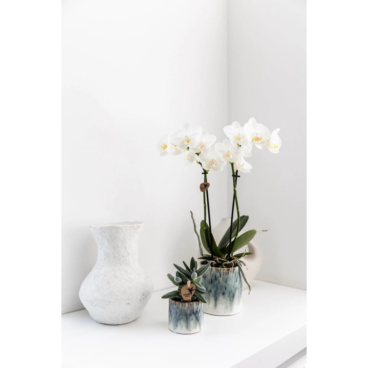 Hummingbird Home | Sky pot - Ø6cm by Kolibri Company