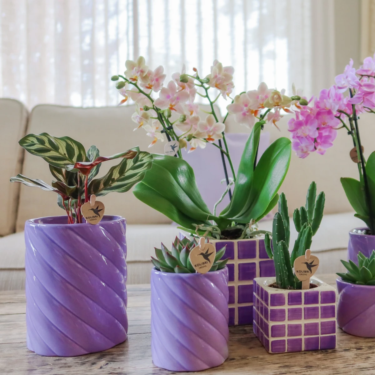 Kolibri Home | Candy sierpot | Hoog - Lilac - Ø9cm by Kolibri Company