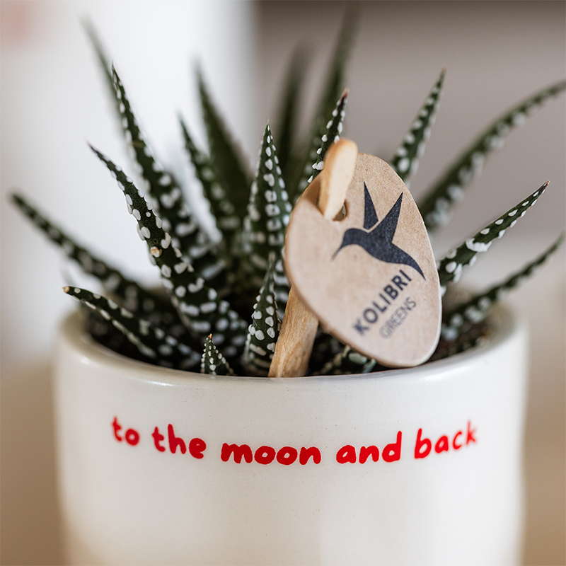 Kolibri Home | To the moon and back sierpot - Ø6cm by Kolibri Company