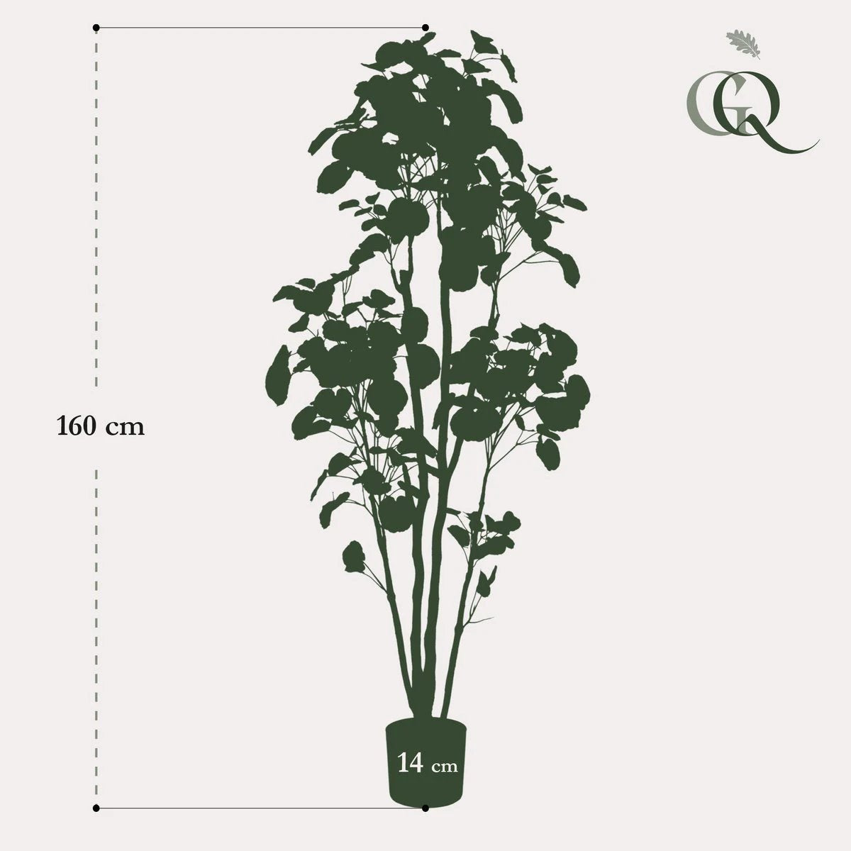 Kunstplant - Polyscias - Aralia - 160 cm by Green boutiQ