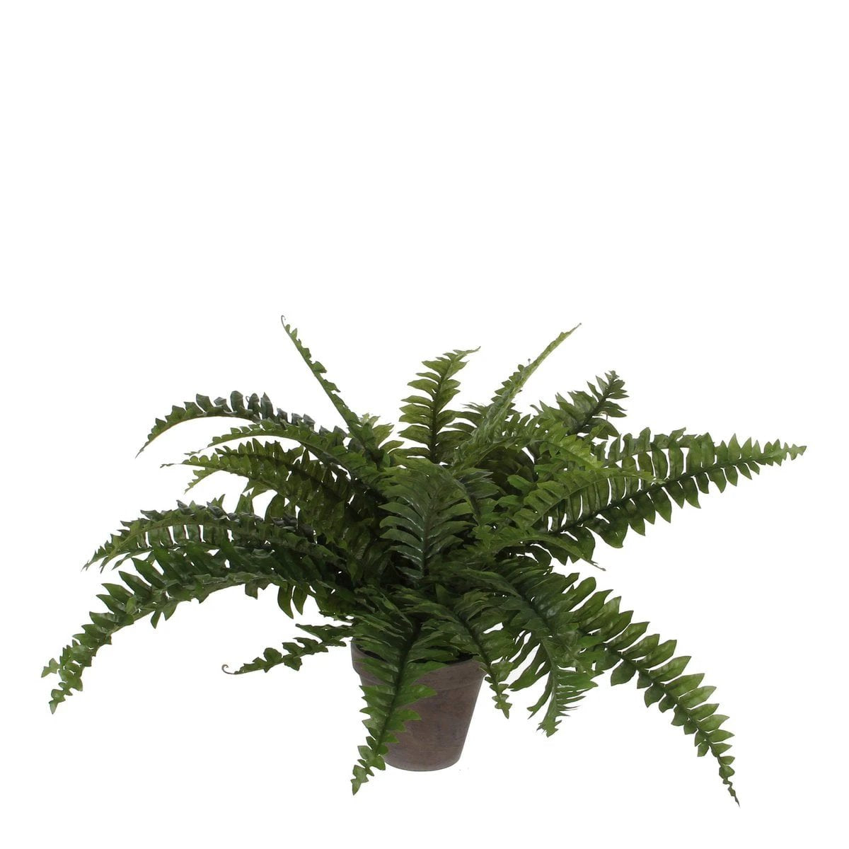 Artificial plant Boston fern Green by Mica Decorations